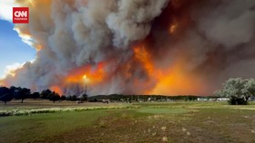 VIDEO: Kebakaran Lahan Dahsyat di New Mexico, Ribuan Orang Dievakuasi