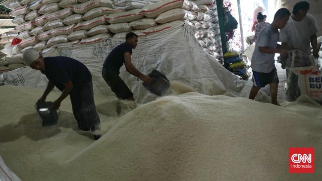 Impor Beras Capai 2,2 Juta Ton, Mengisi Kekurangan Produksi Dalam Negeri