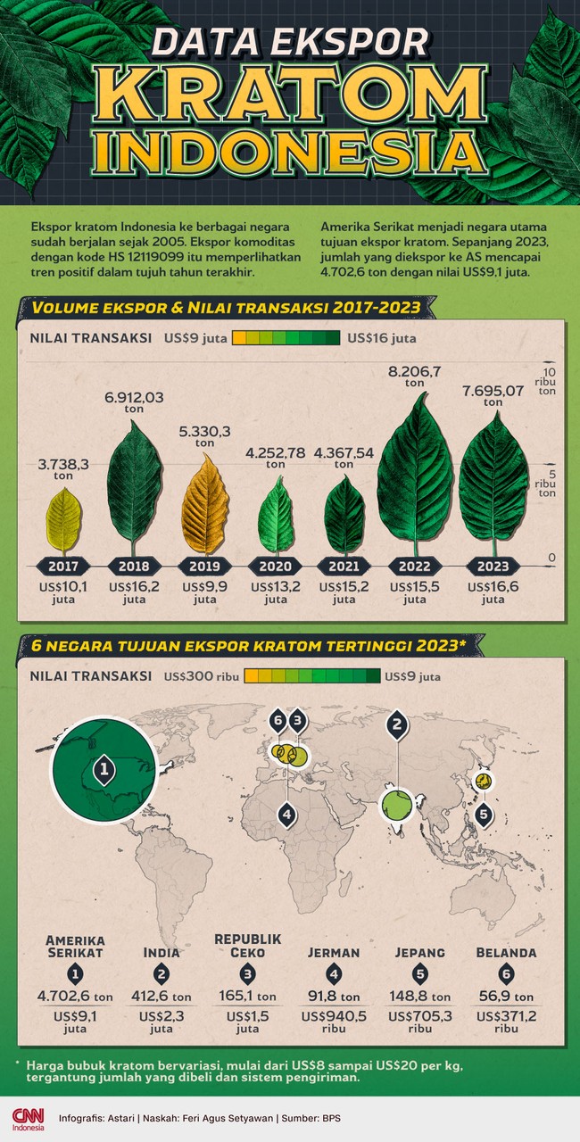 Bubuk kratom telah diekspor ke sejumlah negara dalam 20 tahun terakhir. Amerika Serikat menjadi tujuan utama ekspor kratom dari Indonesia.