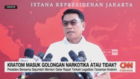 VIDEO: Kratom Masuk Golongan Narkotika atau Tidak?