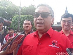 Hasto Respons Jokowi Nyaman di Pohon Beringin: PDIP Itu Wajah Perjuangan