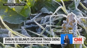VIDEO: Embun Es Selimuti Dataran Tinggi Dieng