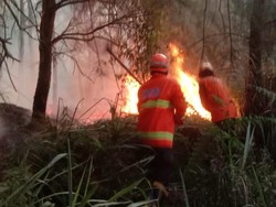 Pemadaman Kebakaran Gunung Batok Dipusatkan di Perbatasan Bukit Widodaren