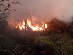 BPBD Jatim Masih Selidiki Penyebab Kebakaran Gunung Batok