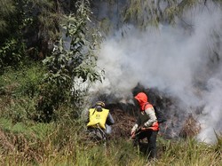 TNBTS Beber Kronologi Kebakaran Gunung Batok di Kawasan Bromo