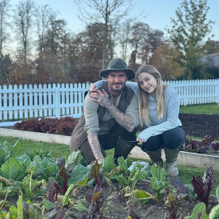 <p>Melalui beberapa unggahan, Beckham kerap memamerkan hasil kebunnya. Selain tanaman hias bunga, ia juga menanam sayur-sayuran. Beberapa waktu lalu ia juga pamer hasil panen daun bawang dari kebunnya. (Foto: Instagram: @davidbeckham)</p>
