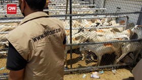 VIDEO: Prosesi Pemotongan Kambing Dam Haji Tamattu