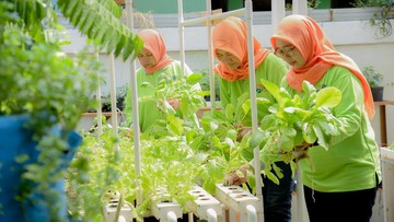 BRInita Bantu Kelompok Tani Ubah Tempat Sampah Jadi Lahan Produktif