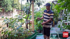 FOTO: Urban Farming di Bantaran Kali Ciliwung