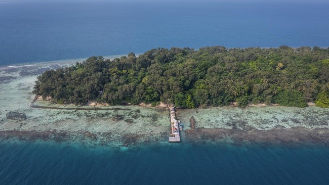 Gubernur DKI Pramono Anung rencanakan pembuatan Pulau Kucing di Kepulauan Seribu. Rapat dengan komunitas pecinta kucing dukung proyek jangka panjang ini.