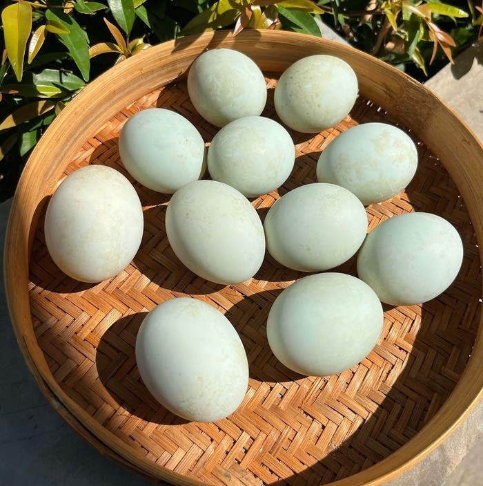 Mengenal 'Balut' Makanan Ekstrim dari Filipina yang Kaya Manfaat!