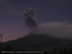 Gunung Lewotobi Erupsi Pagi Ini, Tinggi Kolom Abu Capai 700 Meter