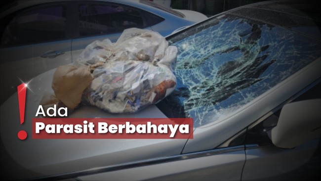 Terungkap! Ini Isi Balon Sampah yang Dikirim Korea Utara untuk Korsel