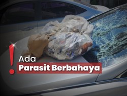 Terungkap! Ini Isi Balon Sampah yang Dikirim Korea Utara untuk Korsel