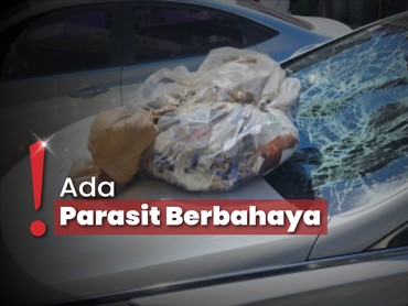 img-title Terungkap! Ini Isi Balon Sampah yang Dikirim Korea Utara untuk Korsel