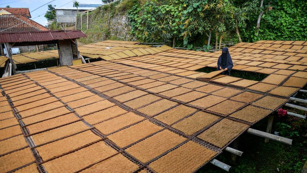 Ekosistem Industri Tembakau, Ribuan Tenaga Kerja hingga Petani