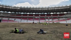 FOTO: Revitalisasi Rumput SUGBK demi Level Terbaik