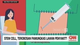 VIDEO: Stem Cell, Terobosan Pamungkas Lawan Penyakit?