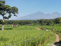 Gunung Arjuno-Welirang Ditutup Total, Ada 3 Titik Api yang Terdeteksi