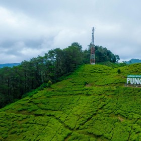 10 Rekomendasi Wisata Asri di Bogor, Cocok untuk Tempat Liburan saat Cuaca Panas!