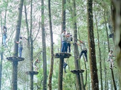 Kopeng Treetop Adventure Park: Jam Buka, Harga, Fasilitas, Daya Tarik