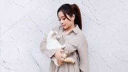 Lirabica Finalis Miss Earth 2019 Kecam Aksi Tak Layak Petugas GBK Relokasi Kucing