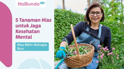 Detik Network