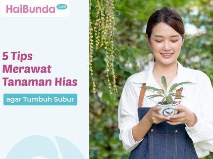 5 Tips Merawat Tanaman Hias agar Tumbuh Subur