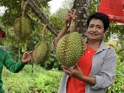 Durian Vulkanik Thailand Jadi Incaran, Daftar Tunggunya Sampai Setahun!