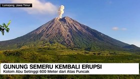 VIDEO: Gunung Semeru Kembali Erupsi