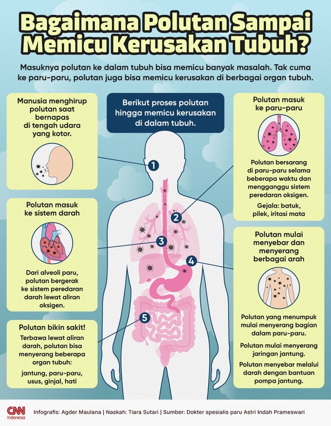 Masuknya polutan ke dalam tubuh bisa memicu banyak masalah. Apa saja yang dilakukan polutan di dalam tubuh?