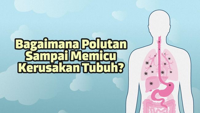 INFOGRAFIS: Polutan, Kamu Ngapain Aja di dalam Tubuh?