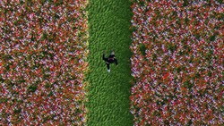 Lirik Lagu Bukan Orangnya - Juicy Luicy