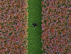 Lirik Lagu Bukan Orangnya - Juicy Luicy