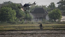 FOTO: Penampakan Drone 'Bombardir' Sawah di Kudus