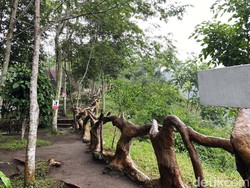 Pesona Tankaman Natural Park, Asyik Buat Healing