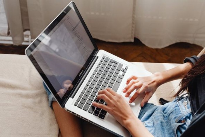 Deretan Nama Aplikasi dan Program Pemerintah yang Jadi Sorotan