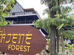 Objek Wisata Baru di Kuningan, Ada Hutan Tengah Kota