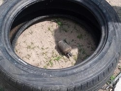 Bocah di Jambi Cari Kerang Malah Temukan Benda Diduga Granat
