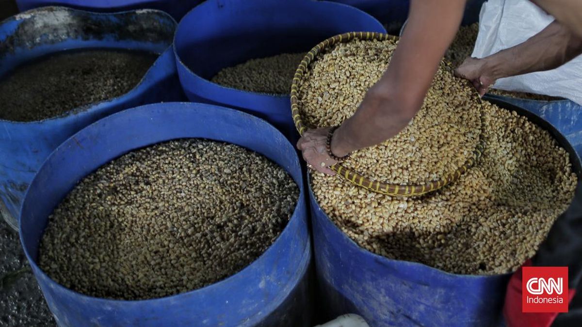RI Siapkan Produksi Kedelai Lokal hingga 10 Ribu Ton