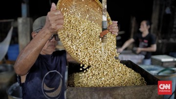 Kementan Jaga Stabilitas Kedelai Impor di Harga Rp11.500 per Kg