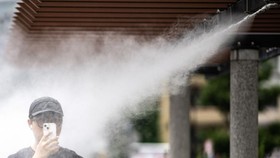 FOTO: Jepang 'Terpanggang' Kala Musim Panas Kian Ganas