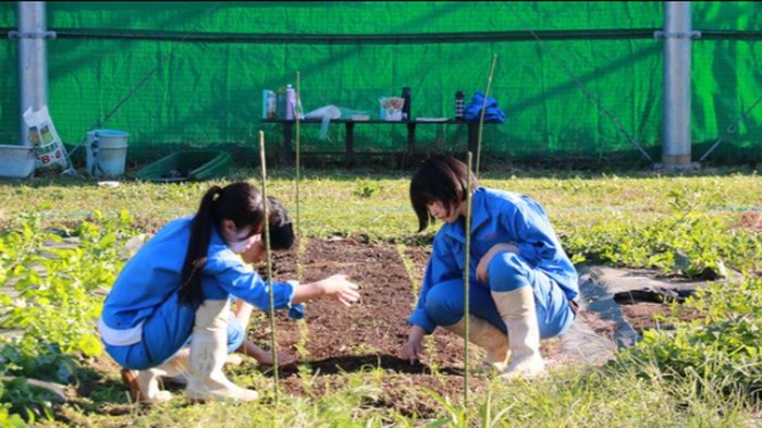 Alasan Jepang Selalu Terlihat Bersih dan Rapi, Apa Saja?