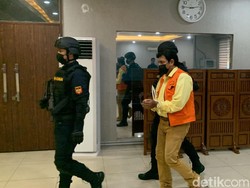 Aktor Bollywood yang Ketahuan Bawa Cenderawasih di Soetta: Raama Mehra