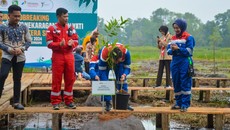Kilang Pertamina Plaju Bangun Taman Rawa di Sumsel, Tanam Pohon Langka