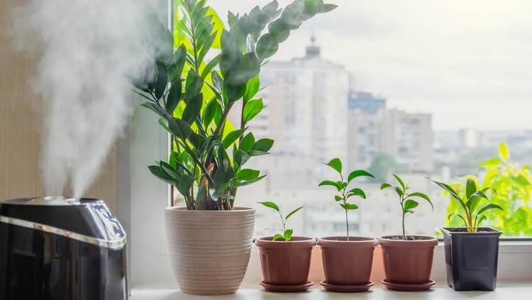 Ilustrasi humidifier