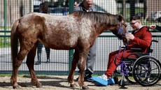FOTO: Hangat Kuda Bantu Pulihkan Pasien di RS Italia