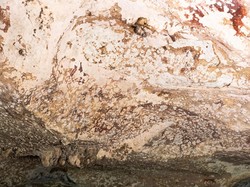 Lukisan Tangan Tertua 67.800 Tahun Ditemukan di Sulawesi