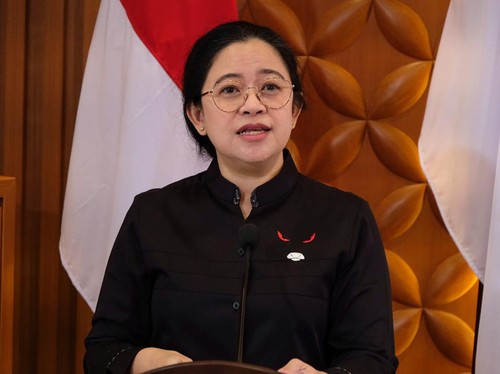 Balita Meninggal Cacingan, Puan Minta RT-RW Proaktif Tinjau Warga