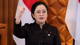 Puan Sebut PDIP Solid Dukung Pemerintahan Prabowo-Gibran